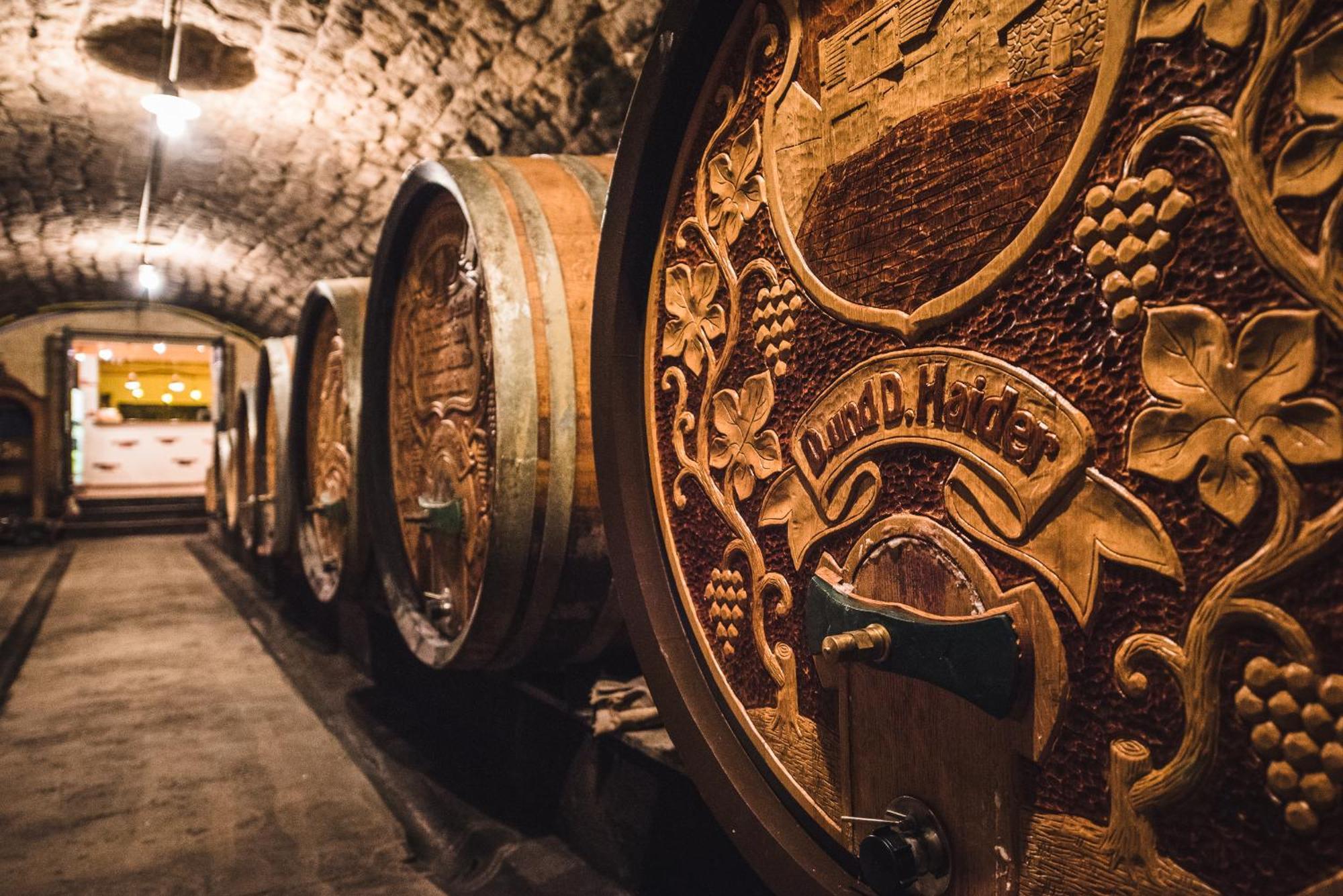 Weingut Gaestehaus D&D Haider Jois Dış mekan fotoğraf