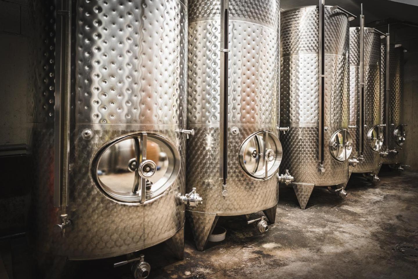 Weingut Gaestehaus D&D Haider Jois Dış mekan fotoğraf