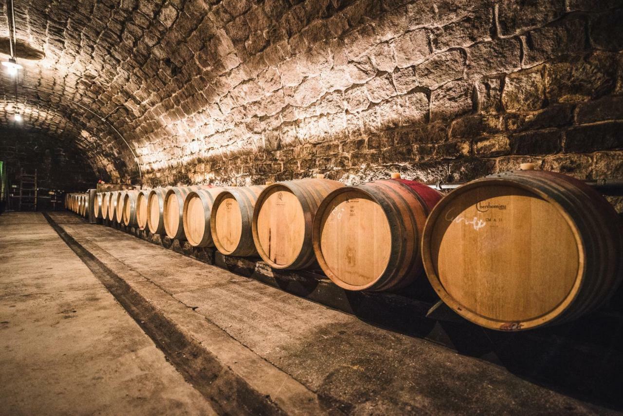 Weingut Gaestehaus D&D Haider Jois Dış mekan fotoğraf