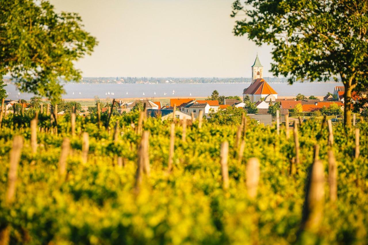 Weingut Gaestehaus D&D Haider Jois Dış mekan fotoğraf
